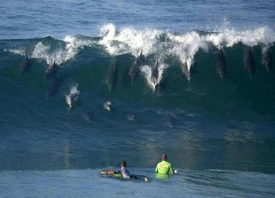 Surf Tenerife Tenerife surfspots