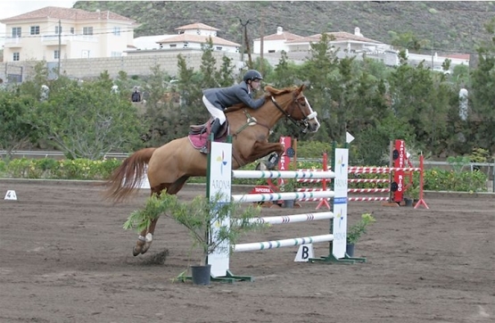 Horse riding in Tenerife | Horse riding adventures in Tenerife