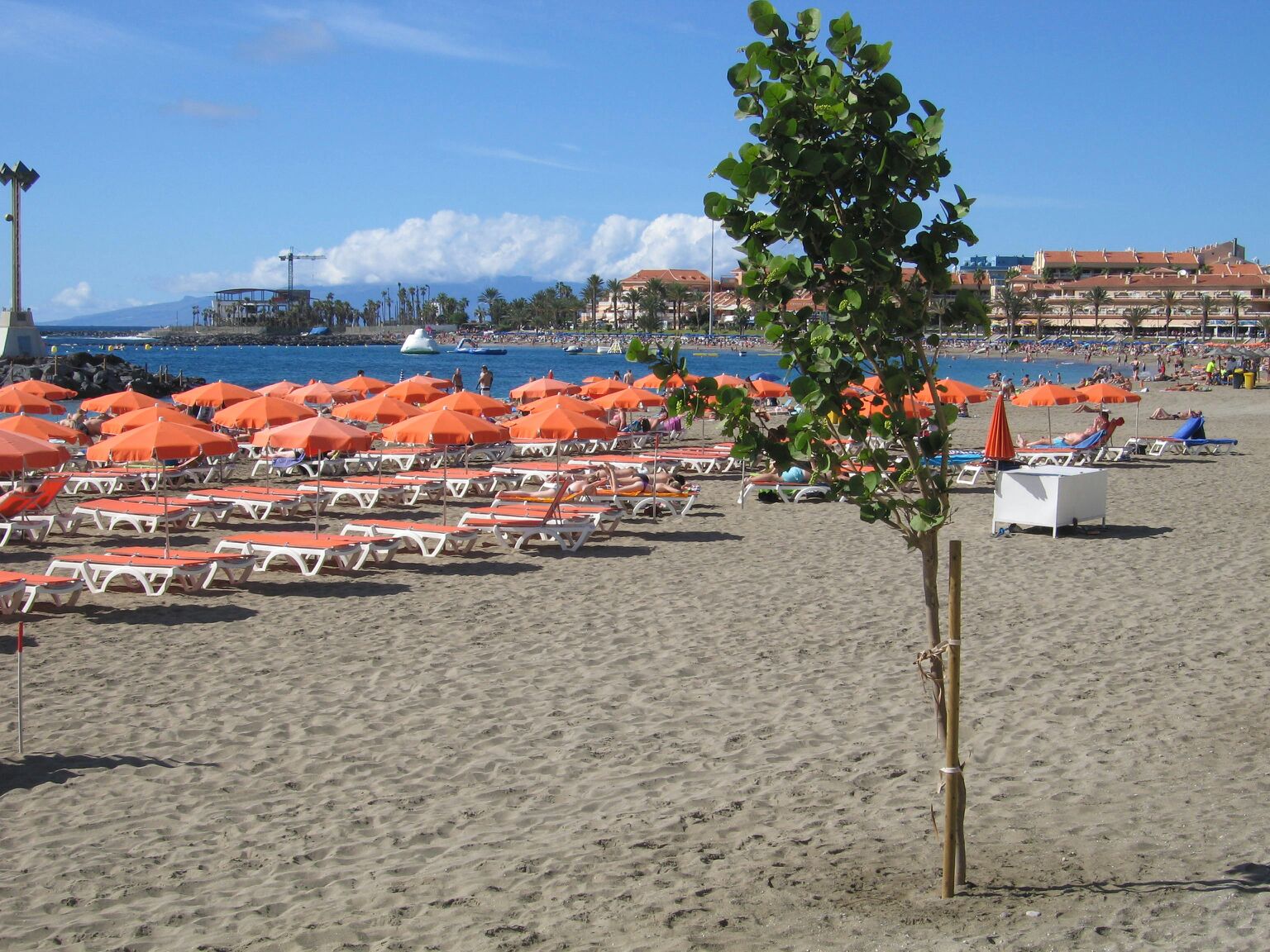 Playa Vistas beach Tenerife | White sand beaches in Tenerife