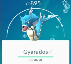 PokemongoTfe-gyarados. How and where to find Pokemon in Tenerife