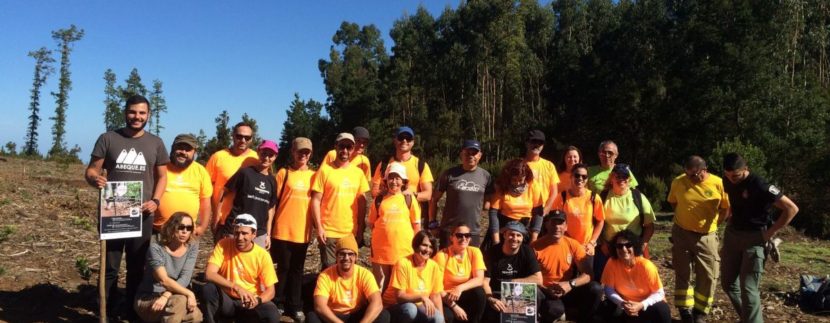 Tenerife Walking Festival fulfills its commitment "zero footprint" with the plantation of Monteverde species