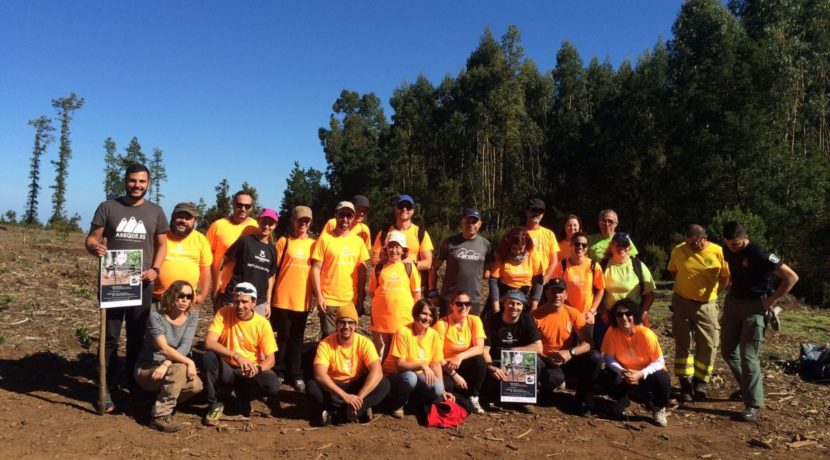 Tenerife Walking Festival fulfills its commitment "zero footprint" with the plantation of Monteverde species