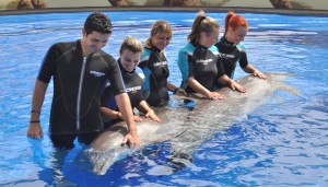 Tenerife water park Aqualand