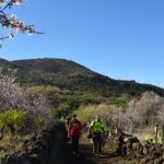 Almond blossom route Tenerife