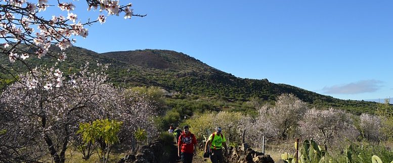 Almond blossom route Tenerife