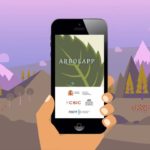 Arbolapp Canarias allows you to identify and find out more details about the most common wild trees found on the Canary Islands.