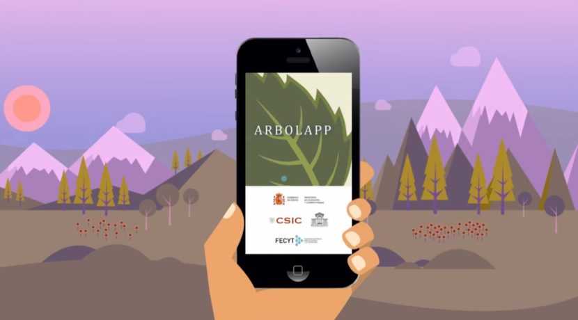 Arbolapp Canarias allows you to identify and find out more details about the most common wild trees found on the Canary Islands.