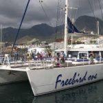 Freebird Catamaran is a Whale & Dolphin watch Tour Operator in Tenerife