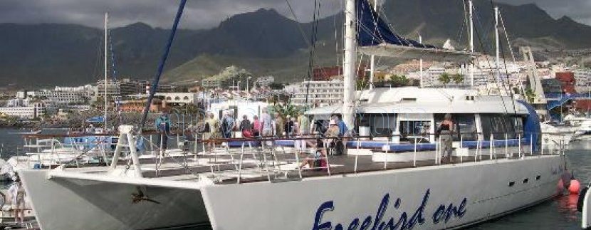 Freebird Catamaran is a Whale & Dolphin watch Tour Operator in Tenerife