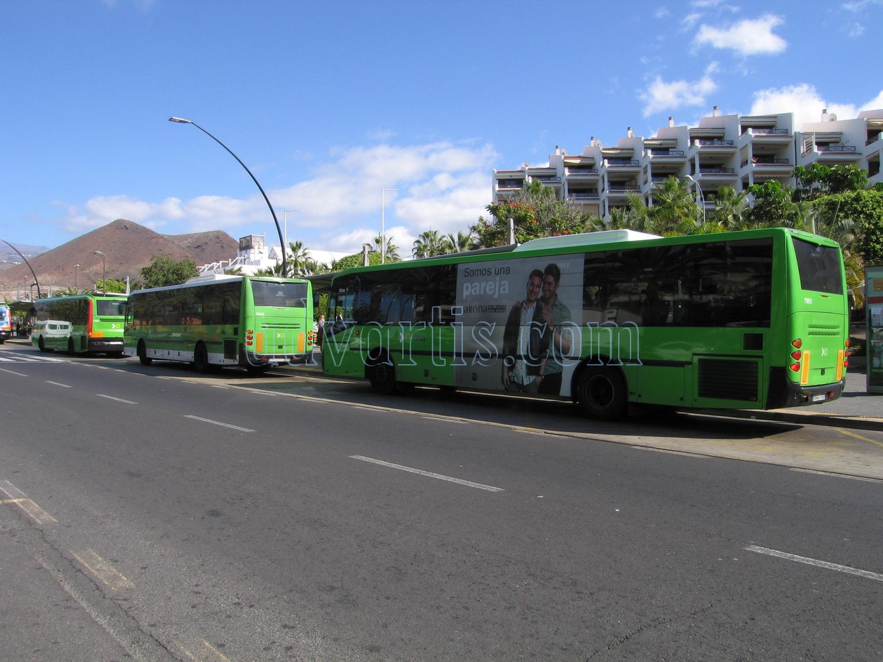 Tenerife bus in Los Cristianos bus station