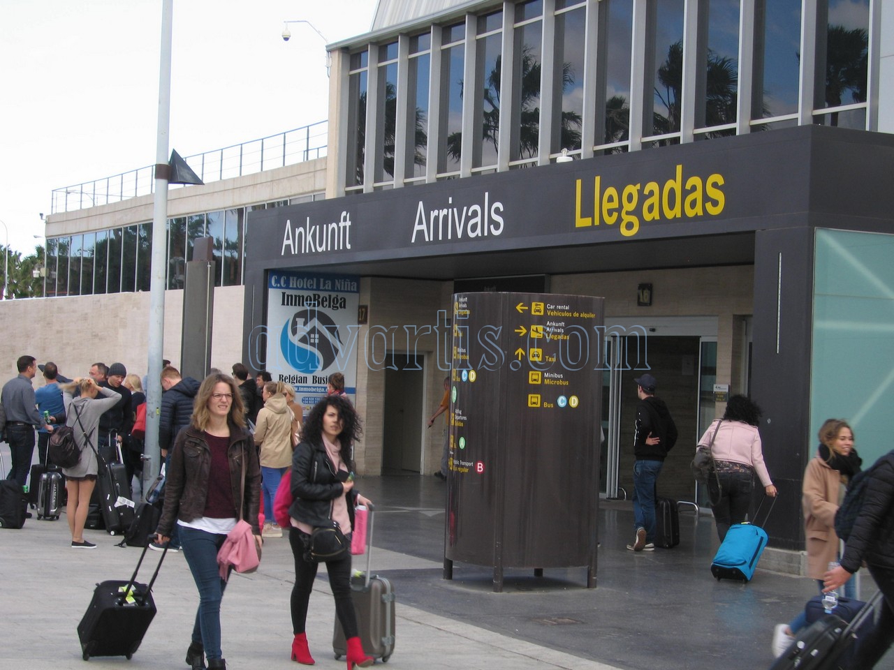 Tenerife south airport Arrivals