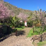 Inaugurated two self-guided trails in Buenavista del Norte, Tenerife