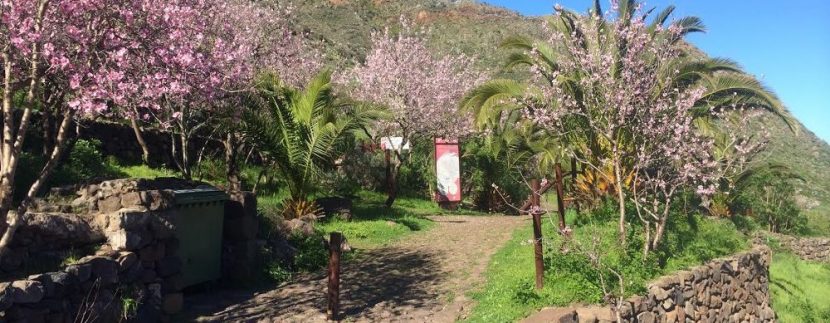 Inaugurated two self-guided trails in Buenavista del Norte, Tenerife