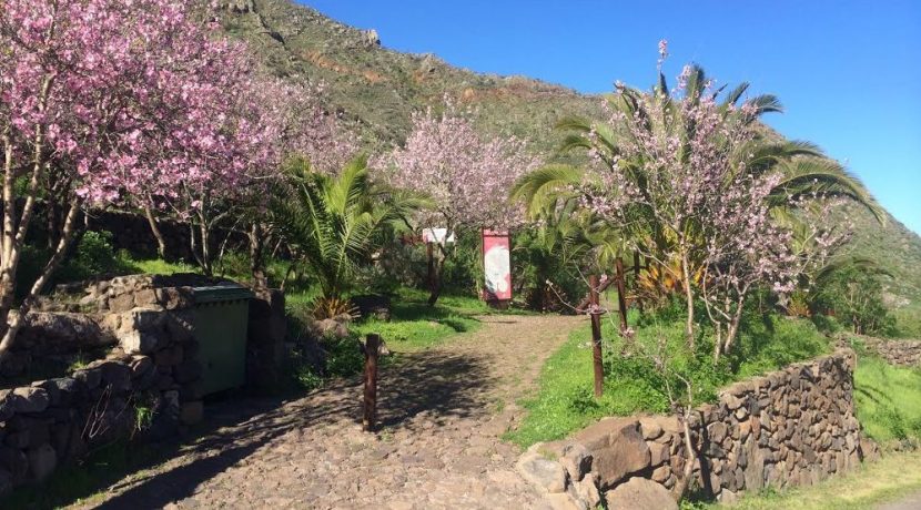 Inaugurated two self-guided trails in Buenavista del Norte, Tenerife