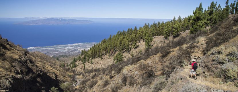 PR-TF 70 hiking trail Tenerife the improvement concludes