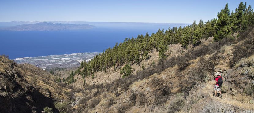 PR-TF 70 hiking trail Tenerife the improvement concludes