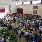 Adeje Farmers Market 10 years of excellence