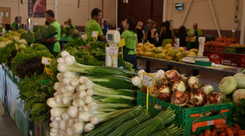 Adeje Farmers Market Tenerife the solidary face