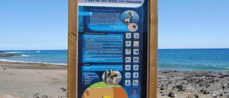 Beaches for Dogs in Tenerife 2019