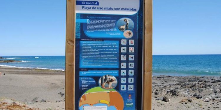 Beaches for Dogs in Tenerife 2019