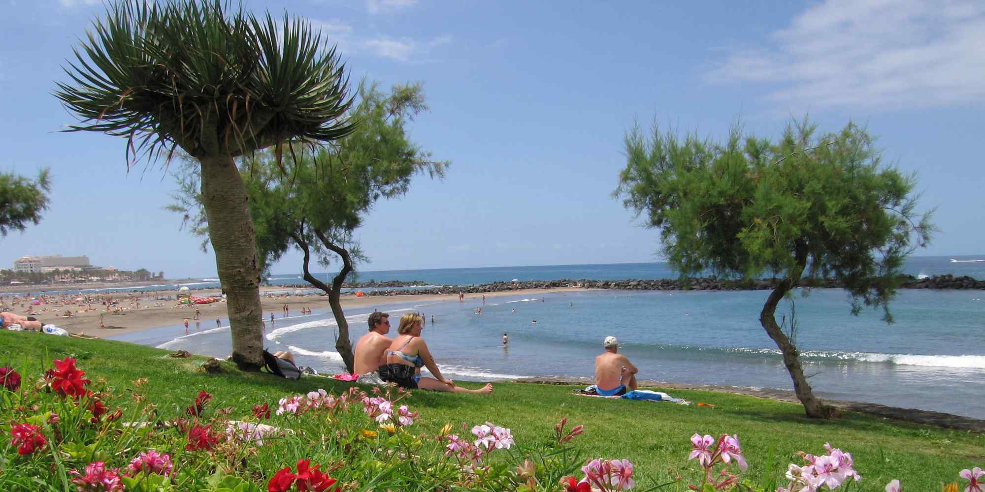 Advartis Tenerife Property, servicios inmobiliarios en Arona
